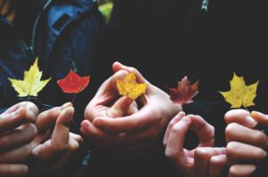 hands holding autumn leaves