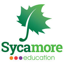 sycamore