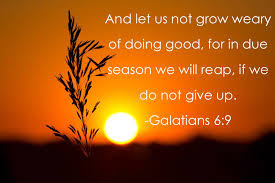 galations 6:9